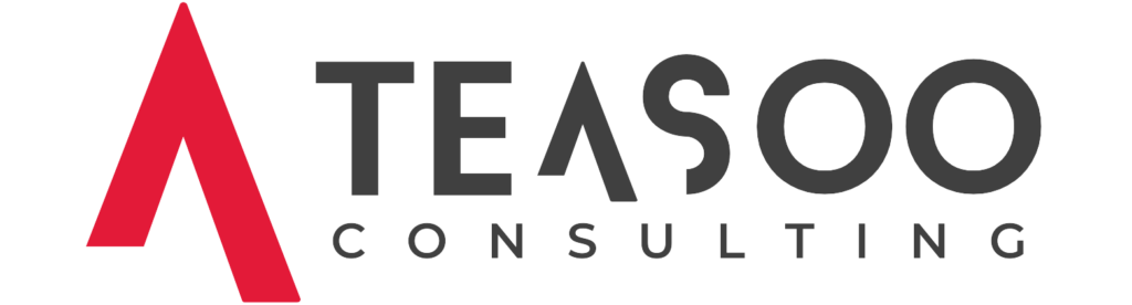 Black and red "TeaSoo Consulting" logo on a transparent background