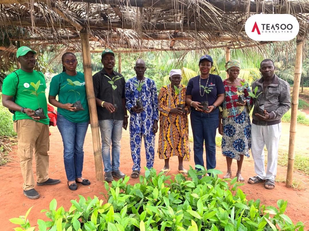 Teasoo Consulting Driving Sustainable Impact in the Tree4Life Reforestation Project