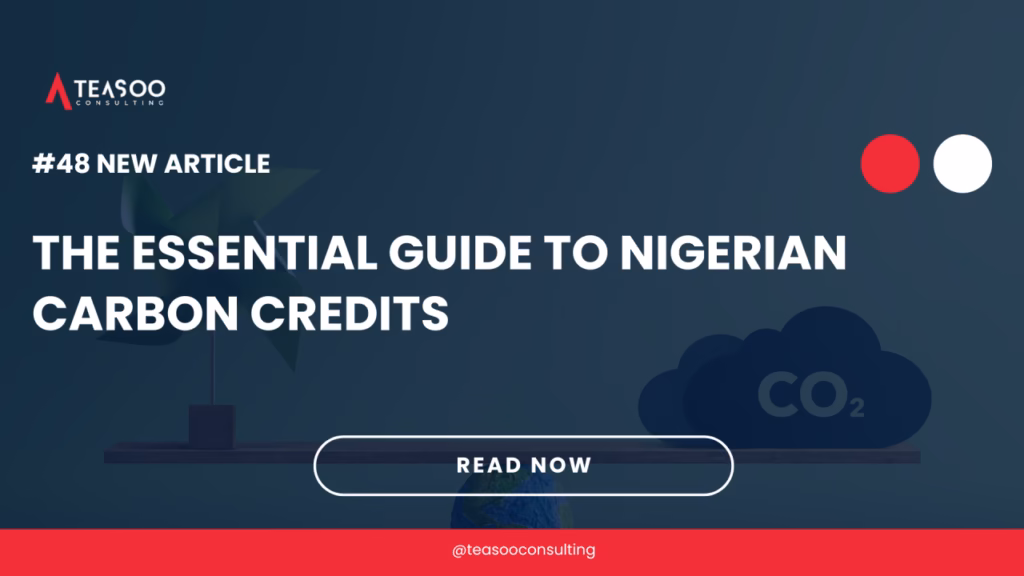 The Essential Guide to Nigerian Carbon Credits