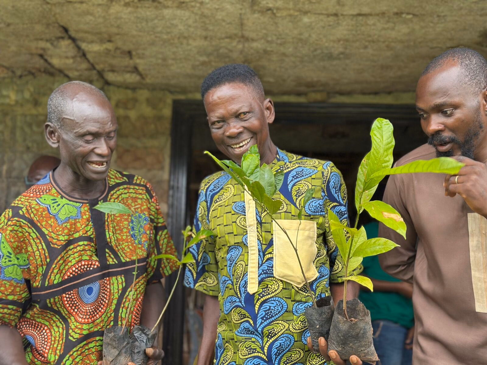 Community elders celebrating with young tree seedlings